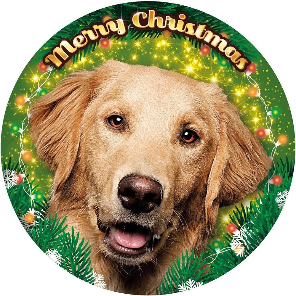 Merry Christmas LED-lamp golden retriever, Dieren en Toebehoren, Ophalen of Verzenden, Nieuw