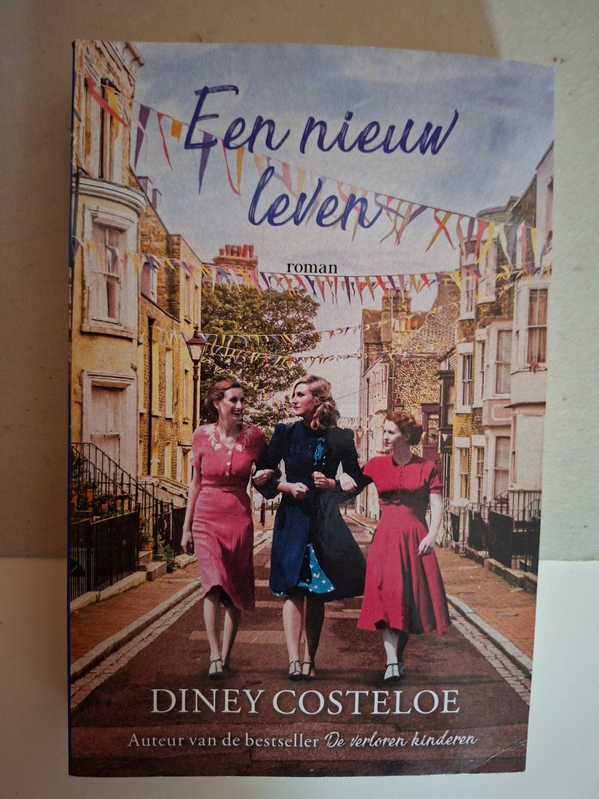 Een nieuw leven diney costeloe roman, Boeken, Verzenden, Zo goed als nieuw, Europa overig