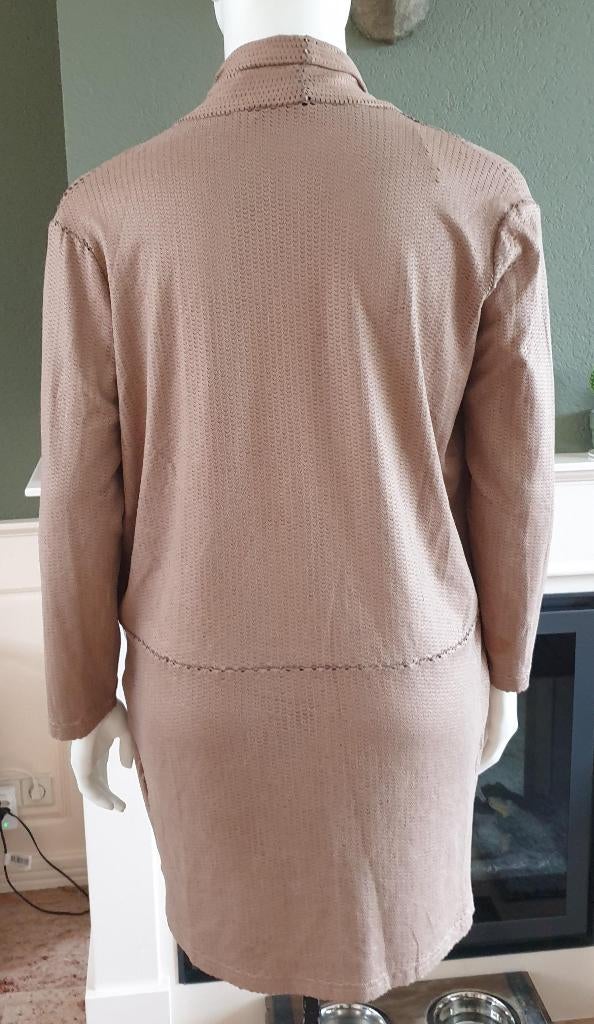 Crème de la crème bruine cardigan vest XL mt 46 48, Kleding | Dames, Beige, Maat 46/48 (XL) of groter, Creme de la creme, Ophalen of Verzenden