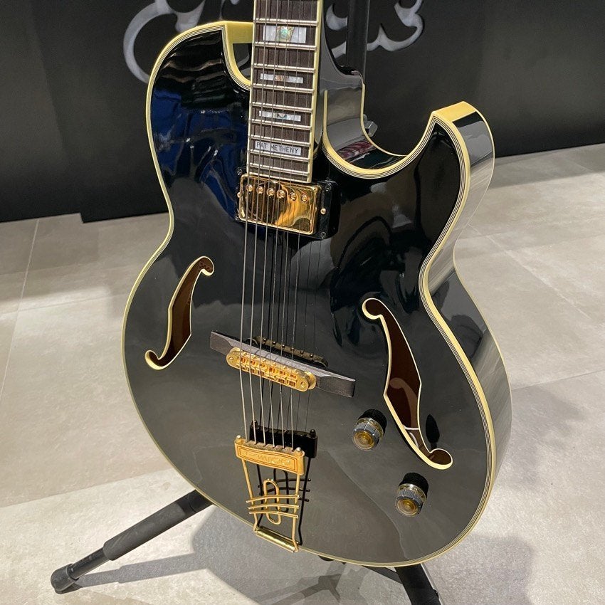 Ibanez PM 100 Pat Metheney Semi Hollow Guitar, Ophalen, Zo goed als nieuw, Hollow body, Ibanez