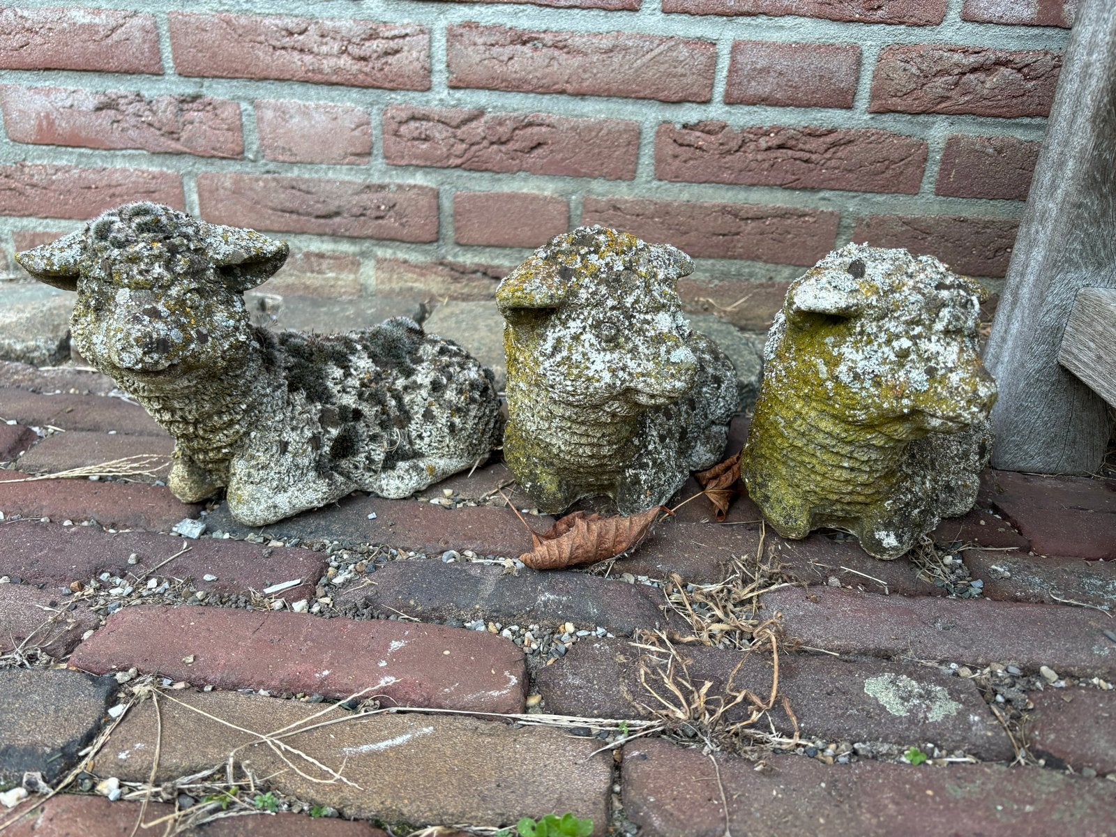 3 betonnen schaapjes - Tuindecoratie, Ophalen, Gebruikt, Beton, Dierenbeeld