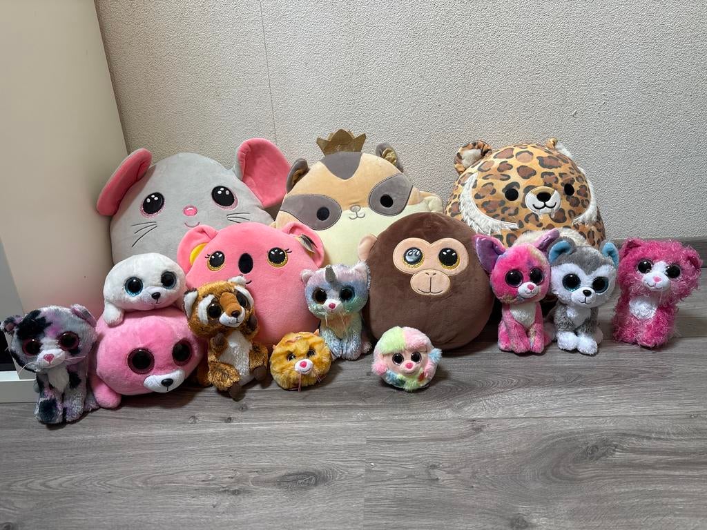 Grote collectie knuffels van Ty en Squishmallow, Kinderen en Baby's, Speelgoed | Knuffels en Pluche, Overige karakters, Overige typen