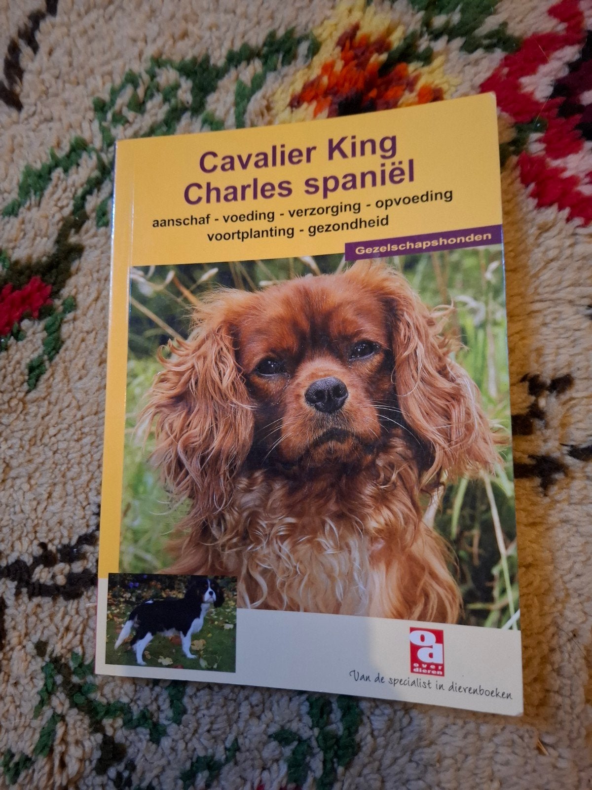 Cavalier King Charles Spaniël Boek - Gezelschapshonden, Ophalen of Verzenden, Zo goed als nieuw, Honden