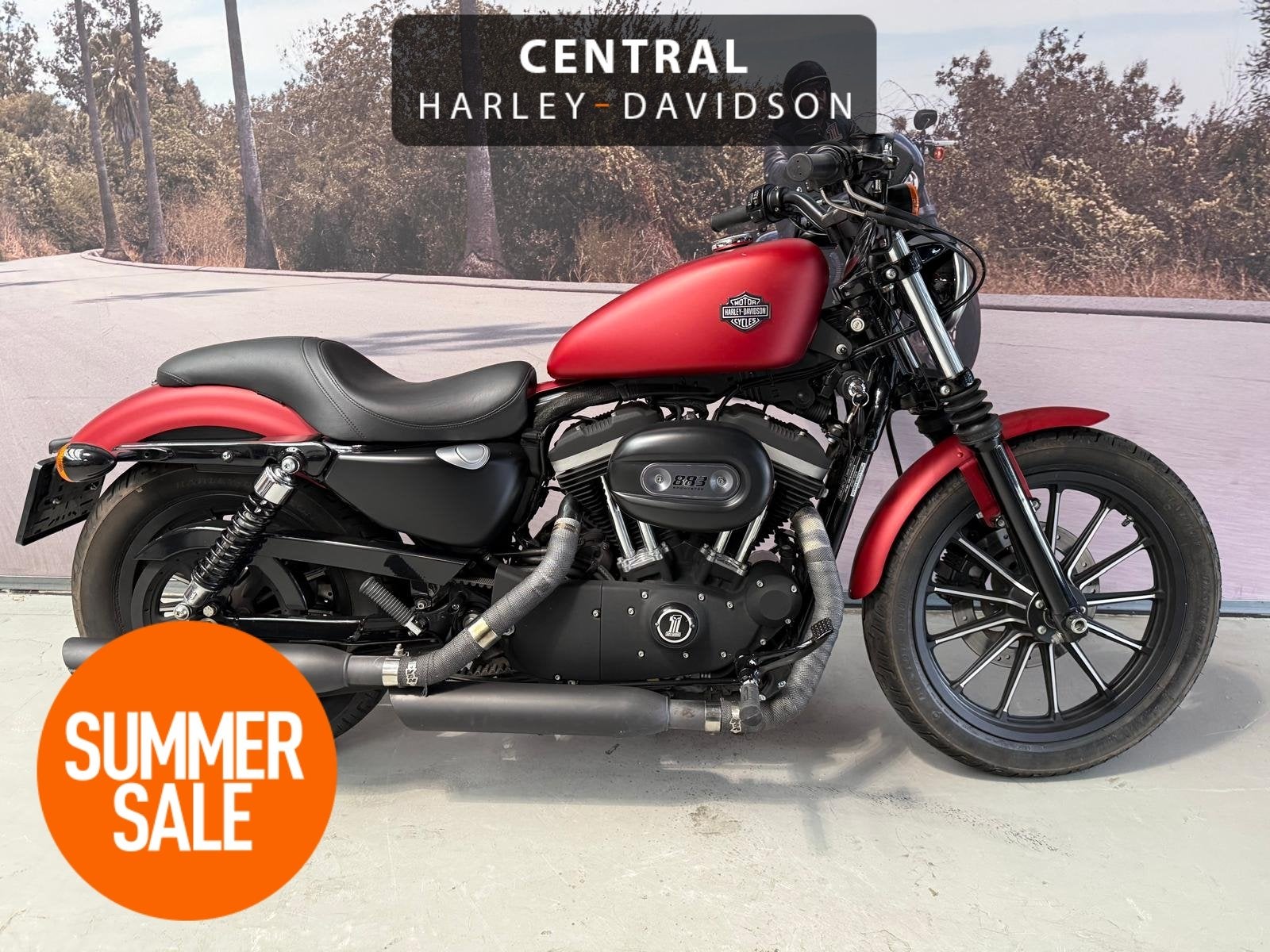 Harley-Davidson Sportster 883 IRON 39KW, Motoren, Motoren | Harley-Davidson, Bedrijf, 883 cc, Meer dan 35 kW, Overig