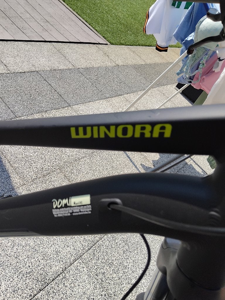 Dames citybike mat zwart, Ophalen, Zo goed als nieuw, Meer dan 20 versnellingen, Overige merken