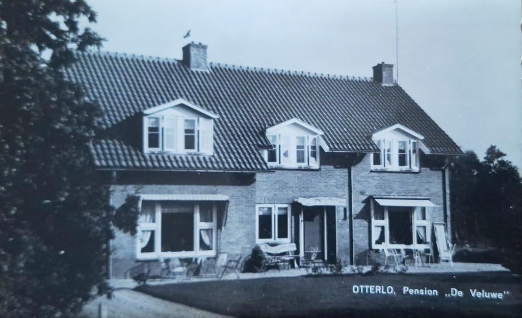 Fotokaart Otterlo - Pension "De Veluwe" - 1964, Ophalen of Verzenden, 1960 tot 1980, Gelopen, Gelderland