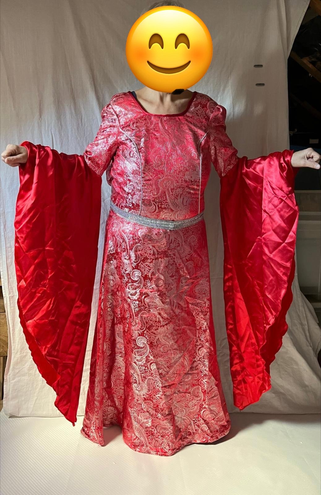 (08) Carnaval of thema feest. Prins en Princes, rood-zilver, Kleding | Dames, Ophalen of Verzenden, Zo goed als nieuw, Carnaval