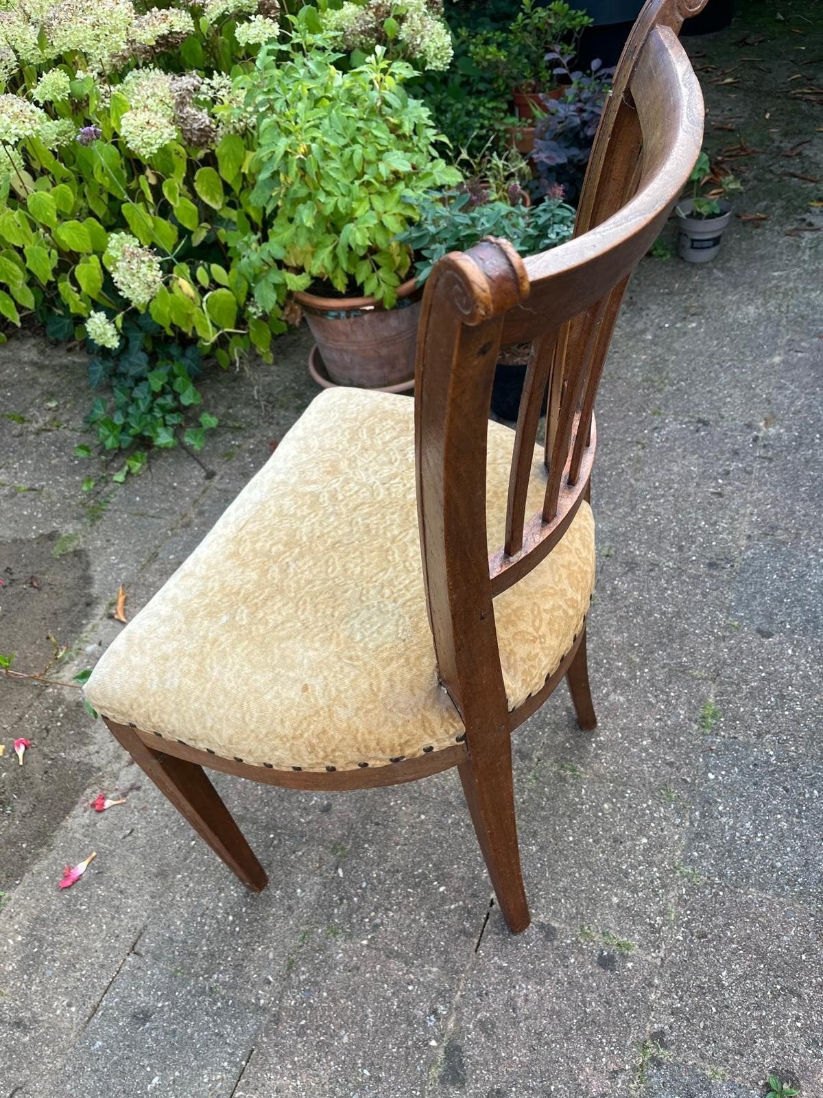 Antieke iepenhouten stoelen⁶ met gestoffeerde zitting, Ophalen of Verzenden