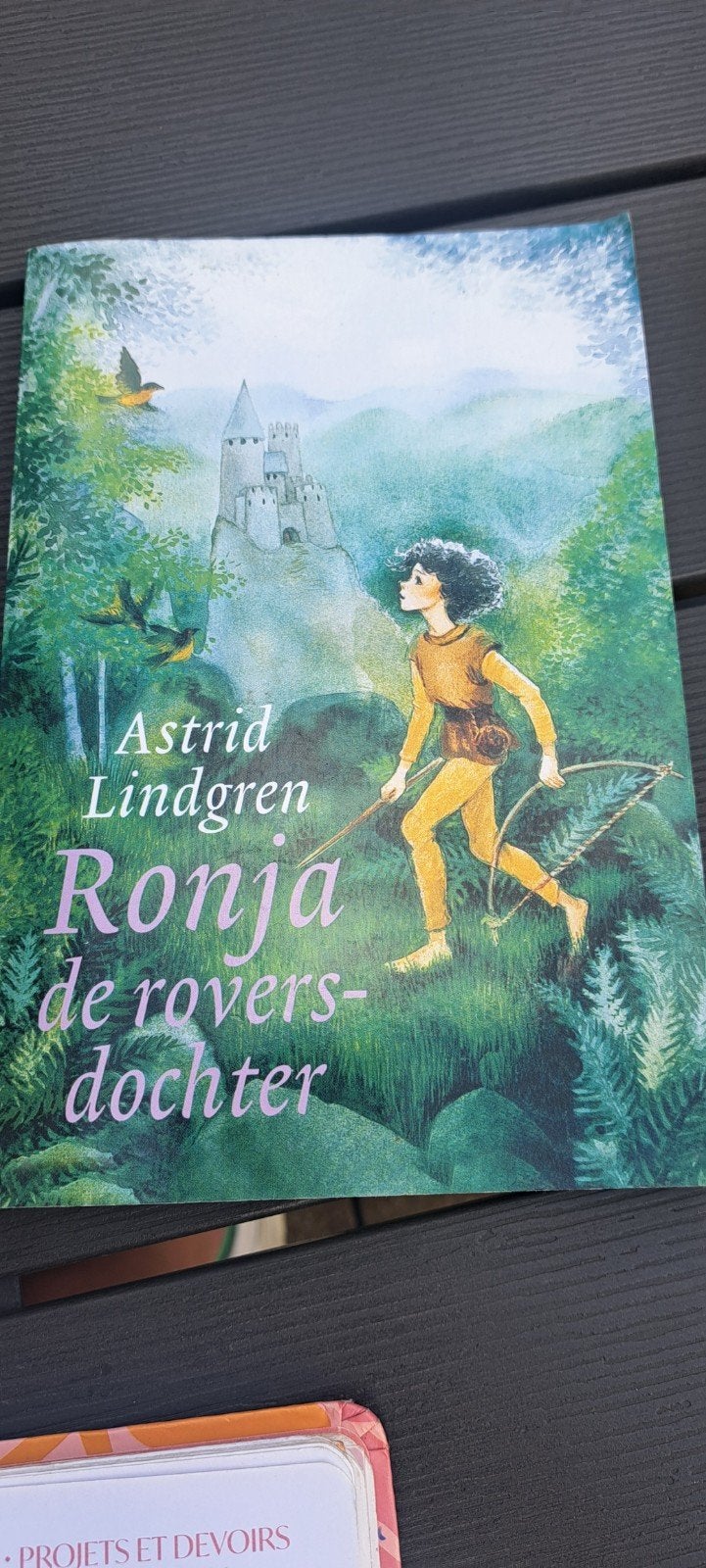 Astrid Lindgren - Ronja de roversdochter, Ophalen of Verzenden, Zo goed als nieuw, Astrid Lindgren