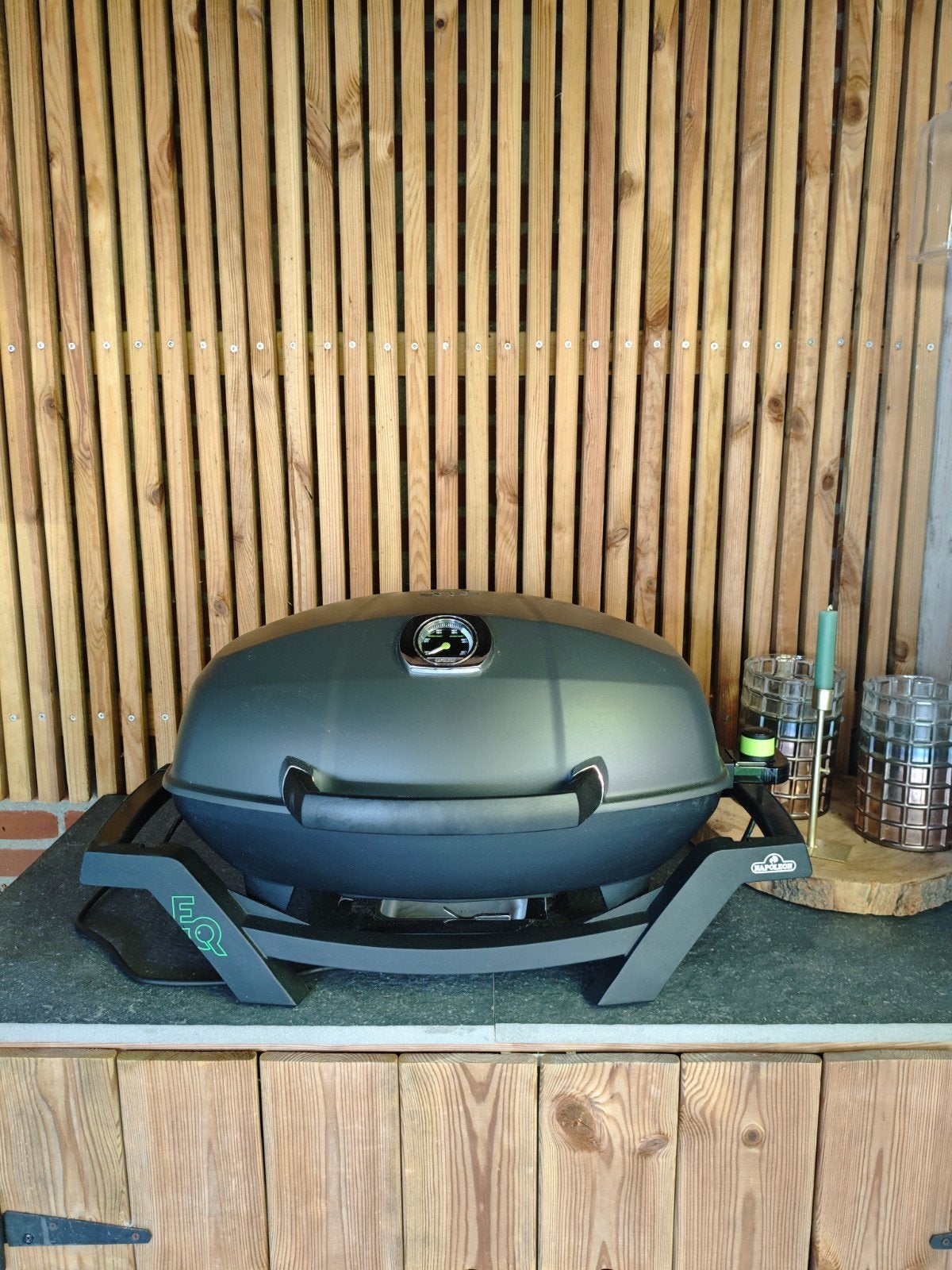 Napoleon TravelQ PRO285X Draagbare bbq electrisch, Tuin en Terras, Barbecue-accessoires, Zo goed als nieuw, Ophalen