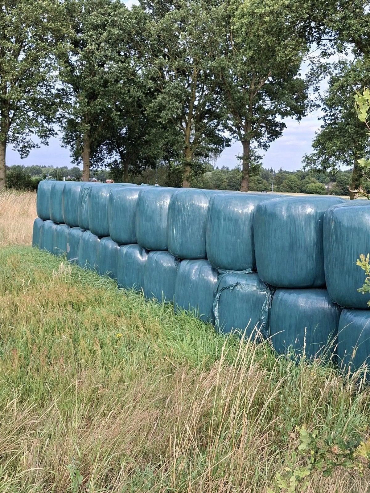 Mooi onkruidvrij hooi te koop., Dieren en Toebehoren, Ophalen, Vee