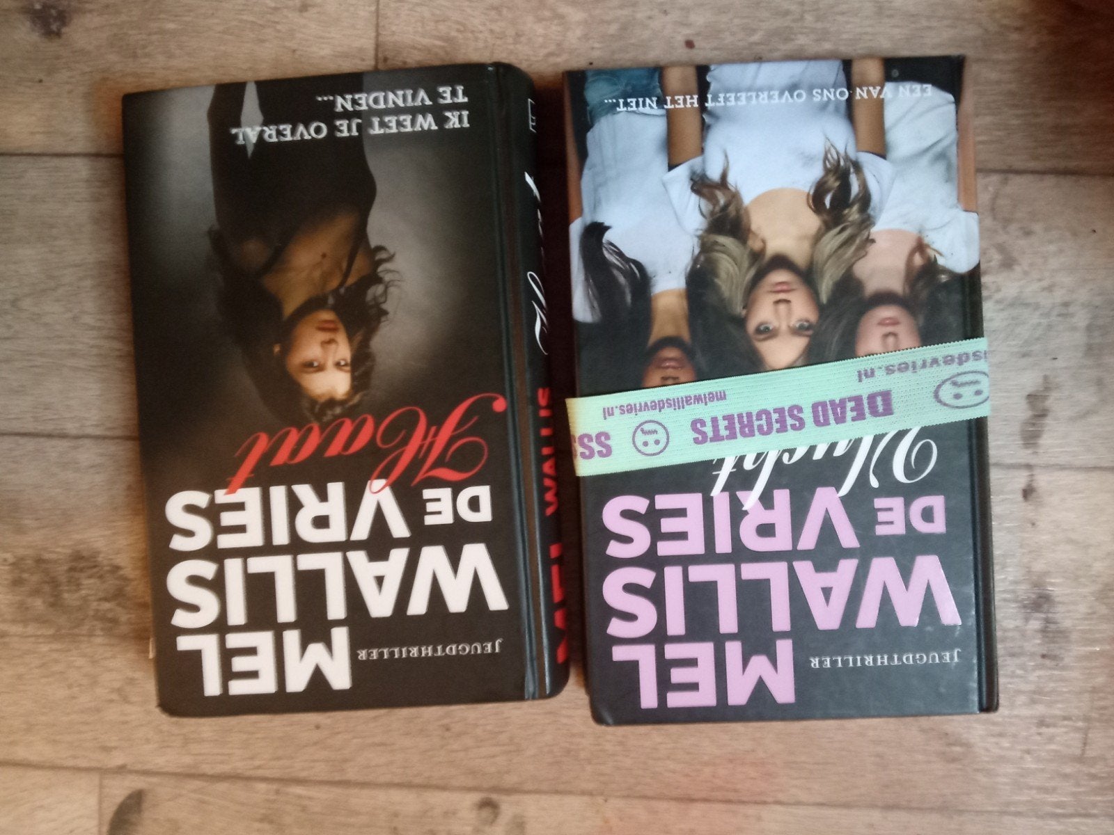 twee nieuwe dikke boeken van mijl wallis de Vries, Boeken, Ophalen of Verzenden, Nieuw, Mel wallis de Vries, Overige typen