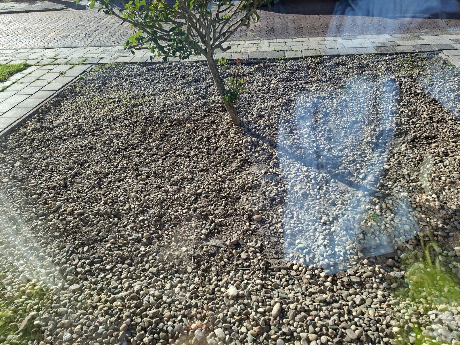 Decoratief Siergrind voor Tuin en Pad, Ophalen, Overige materialen, Gebruikt, Grind