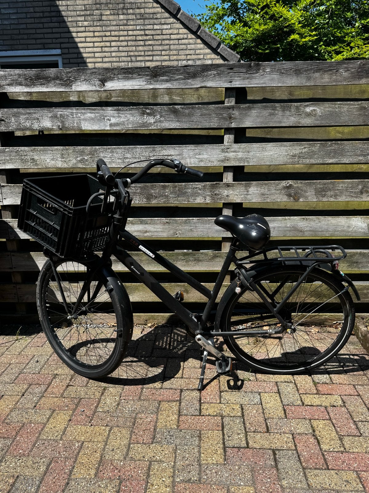 Giant CS2 Triple X Damesfiets met Voordrager, Fietsen en Brommers, Fietsen | Dames | Damesfietsen, Ophalen, Terugtraprem, Versnellingen