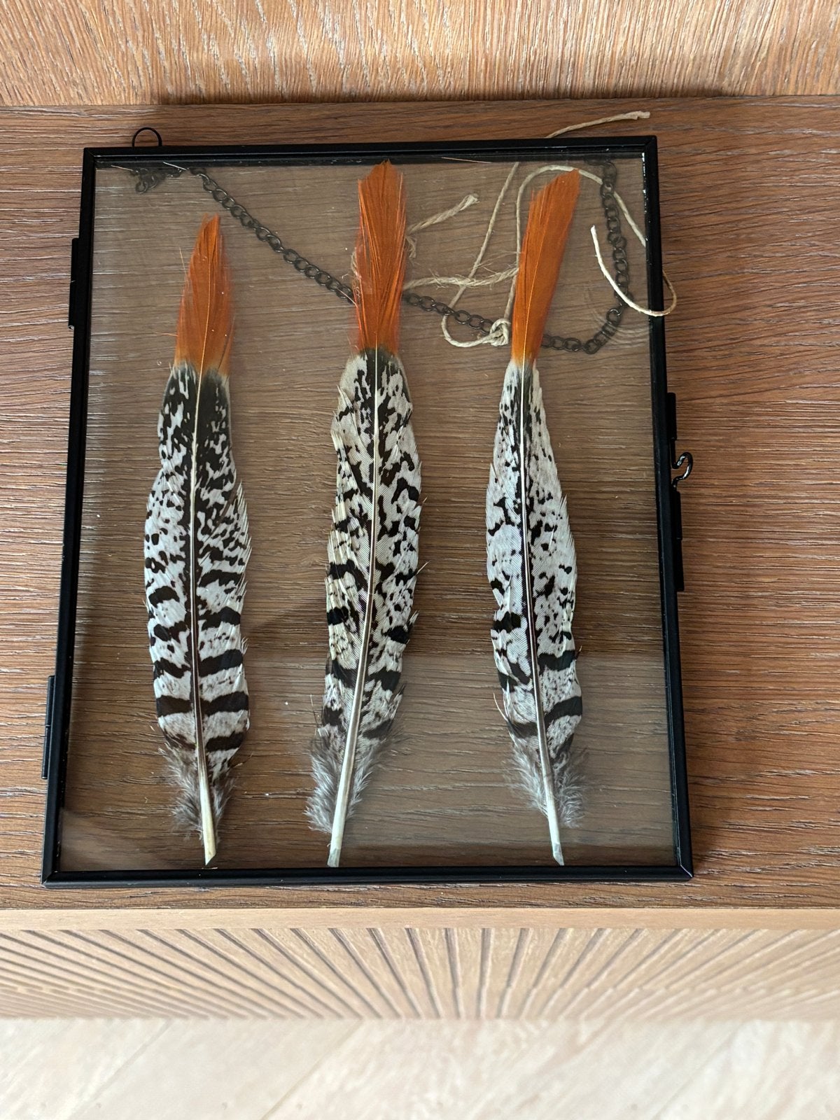 Decoratieve lijst met veren-fazantveren, Meerkleurig, Ophalen of Verzenden, Zo goed als nieuw, Modern