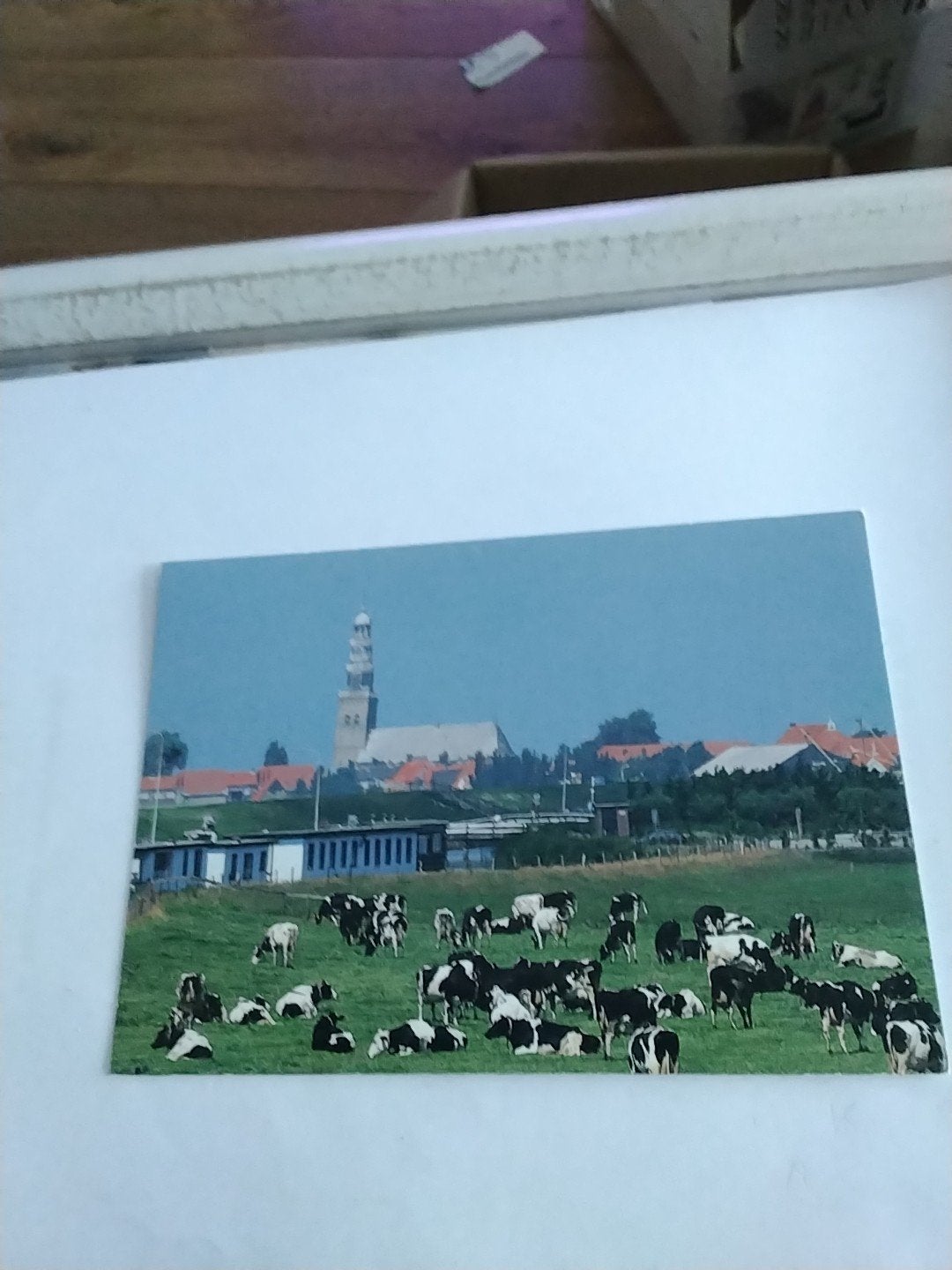 Hindeloopen Friesland Koeien Kerk Martin Kers  1998, Ophalen of Verzenden, 1980 tot heden, Ongelopen, Friesland