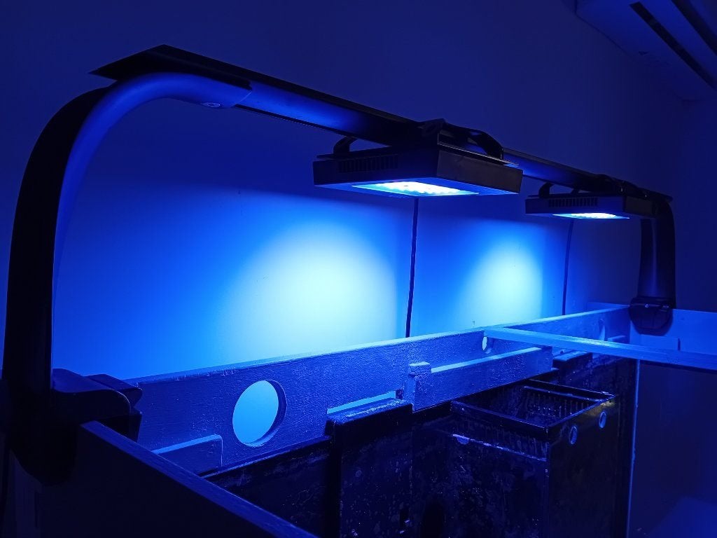 ecotech radion XR15 GEN 5 225 euro per stuk, Ophalen of Verzenden, Zo goed als nieuw, Verlichting of Verwarming, Overige merken