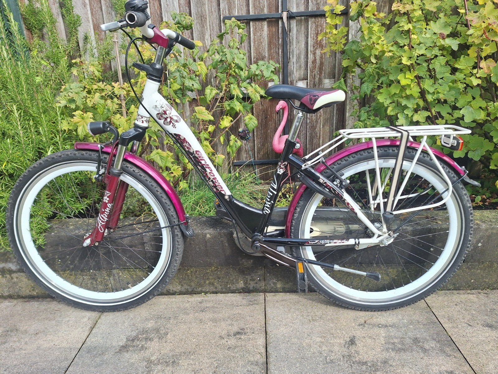 Alpina Girlpower 24 inch, Fietsen en Brommers, Ophalen, Terugtraprem, 24 inch, Alpina Girlpower