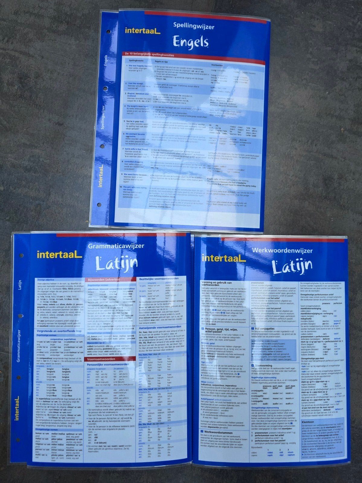 Intertaal Spellingwijzer Engels & Grammaticawijzer Latijn, Ophalen of Verzenden