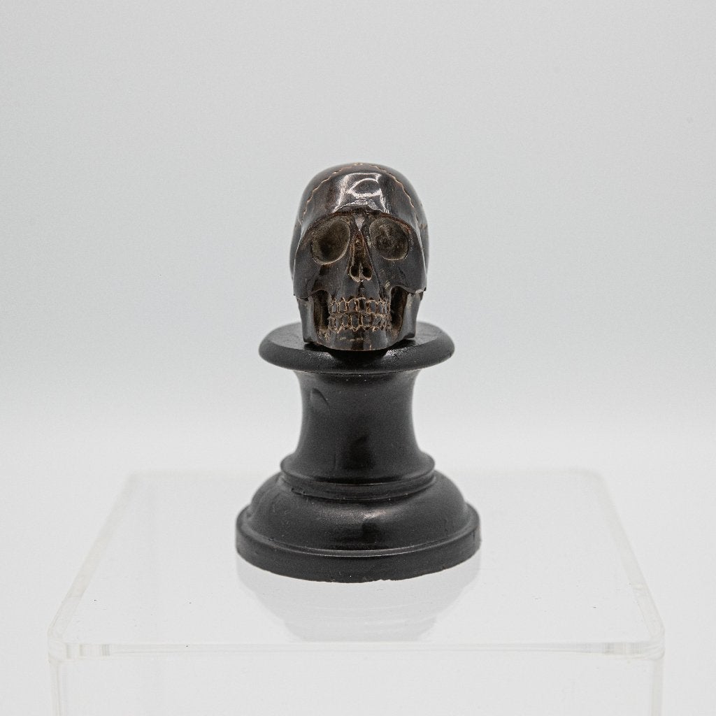 Memento mori, steenbok hoorn, 19e-eeuw, Antiek en Kunst, Ophalen of Verzenden