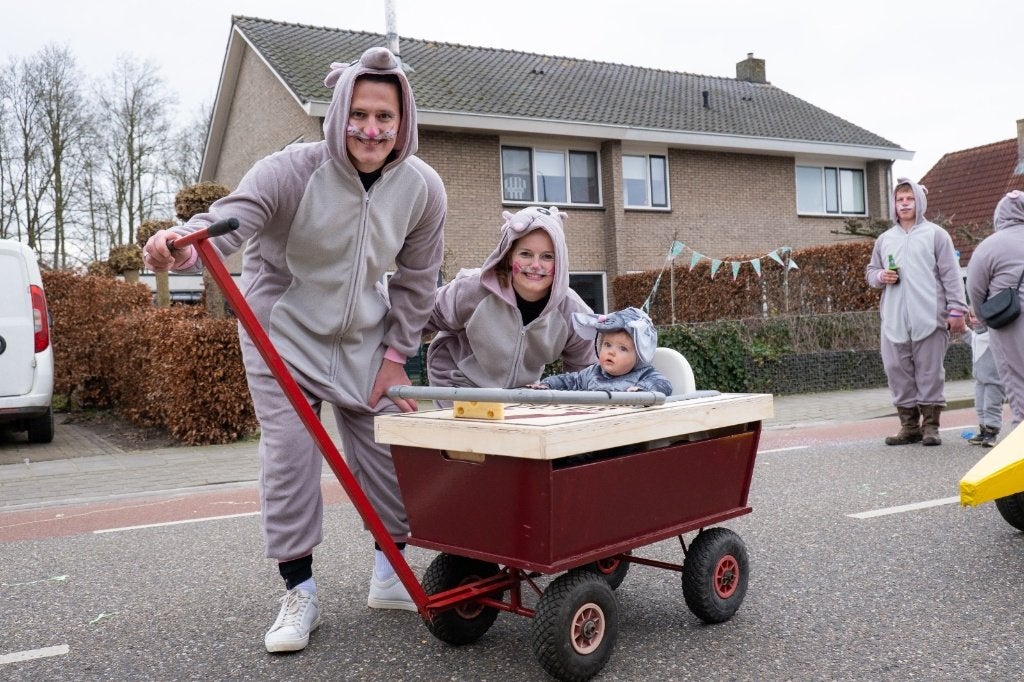 Carnavalsgroep thema als muizen in de (carna)val, Carnaval, Maat 42/44 (L), Ophalen of Verzenden, Zo goed als nieuw