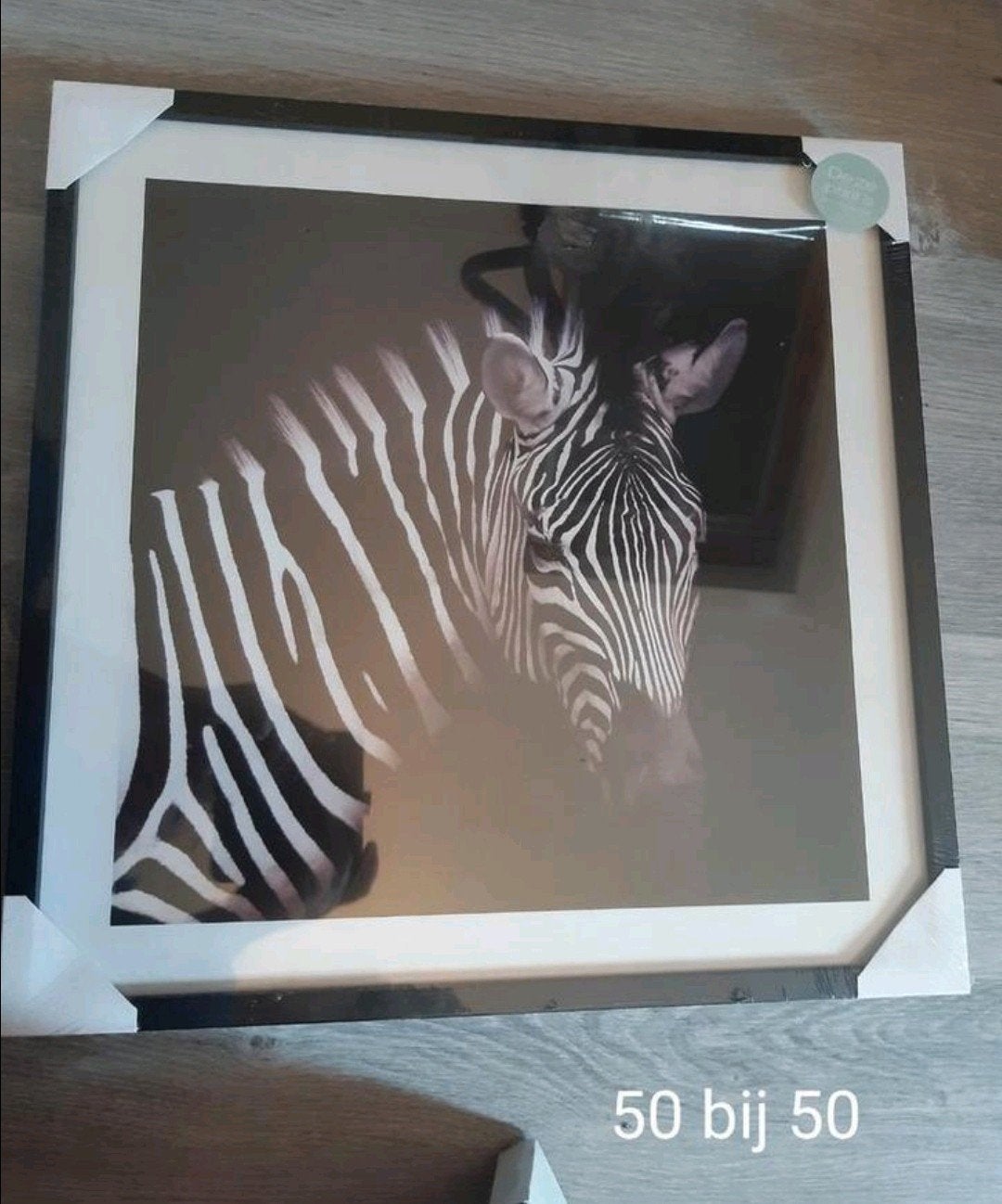 Nieuwe kunstprints: Neushoorn & Zebra (50x50 cm), Ophalen, Nieuw, Print, 5 – 50