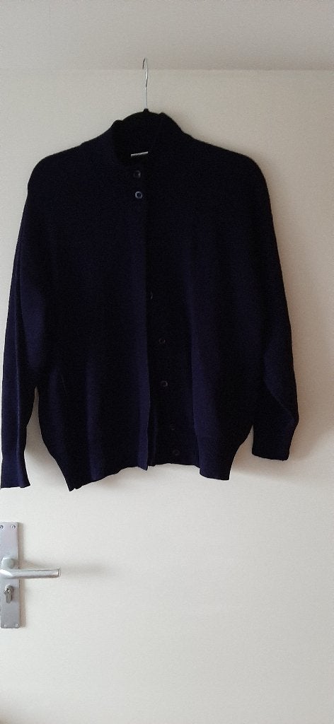 Roberto Sarto vest maat 48, Kleding | Dames, Truien en Vesten, Blauw, Maat 46/48 (XL) of groter, Ophalen of Verzenden, Zo goed als nieuw