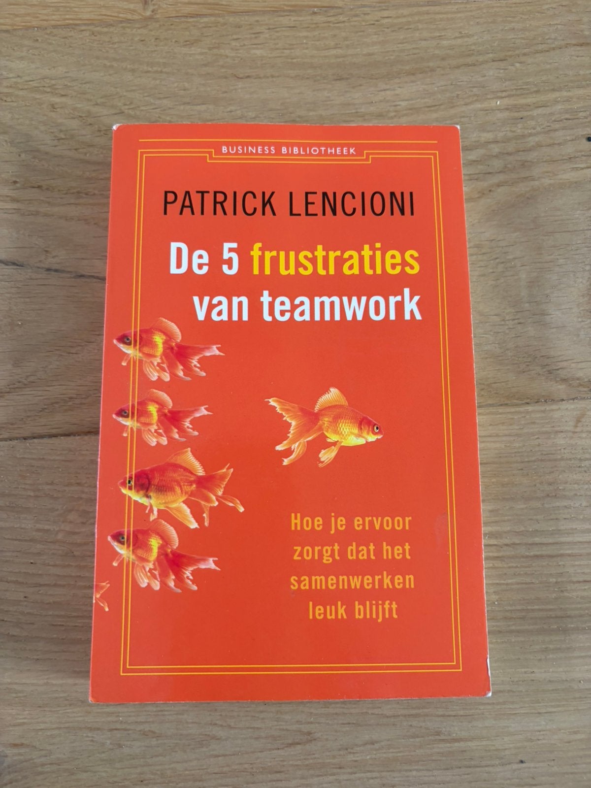 De 5 frustraties van teamwork-Patrick Lencioni, Ophalen of Verzenden, Zo goed als nieuw, Economie en Marketing