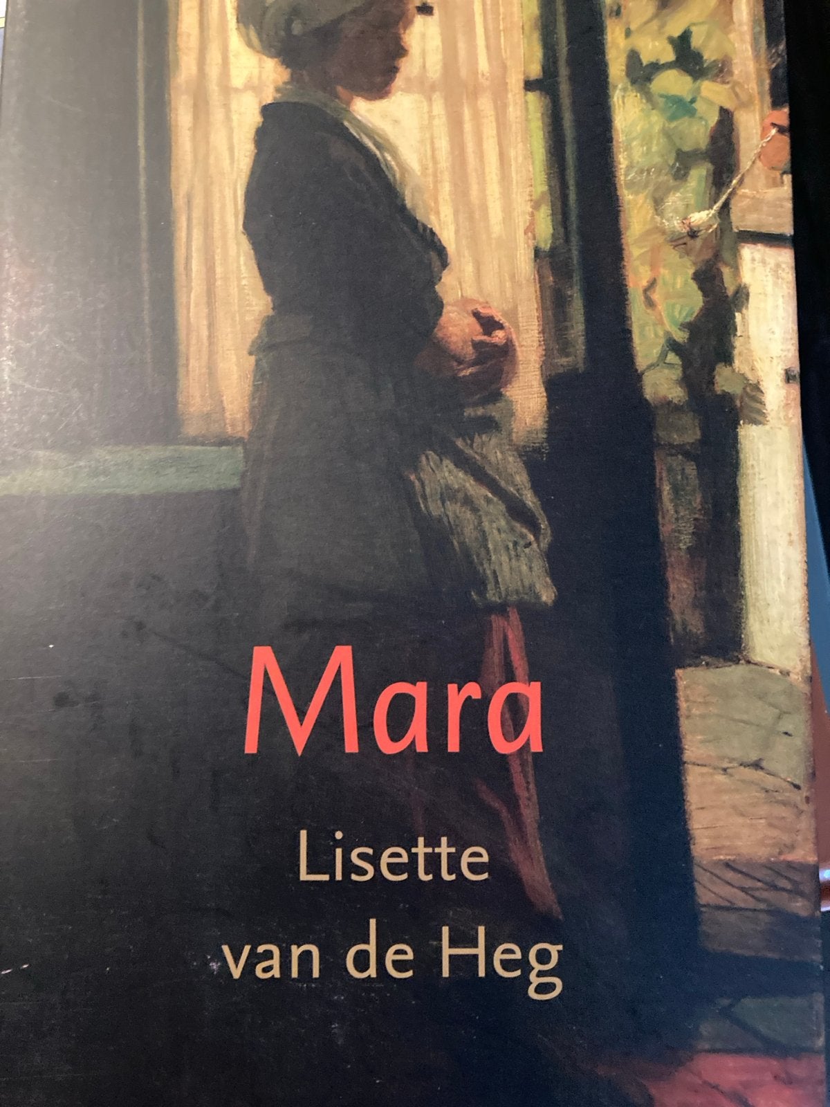 Mara - Lisette van de Heg (Roman), Ophalen, Gelezen, Nederland