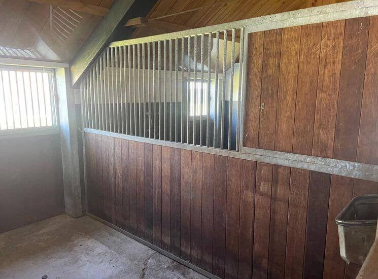98. Tussenwanden met bamboe | privacy paneel & schuine kant, Stalling, 1 paard of pony