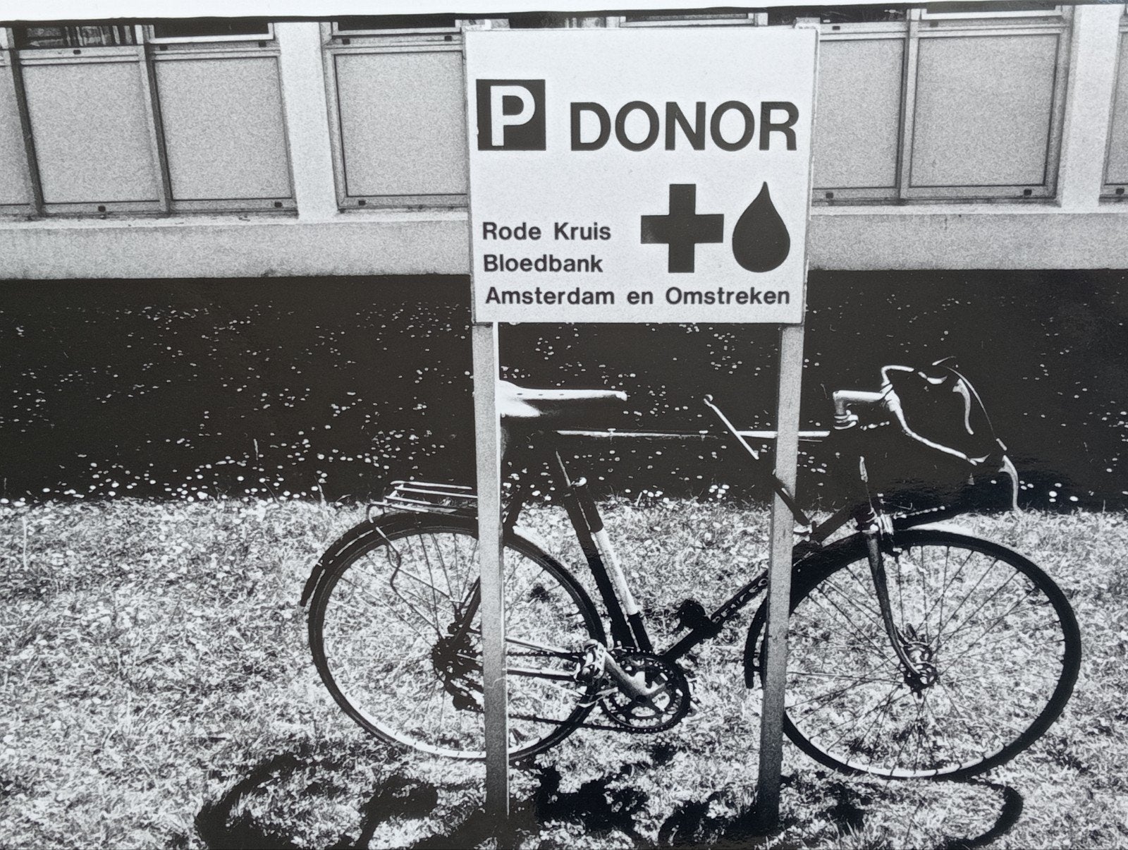 Peter Boer Bloedbank Amsterdam 1993, Ophalen of Verzenden, 1980 tot heden, Zo goed als nieuw, Overige onderwerpen