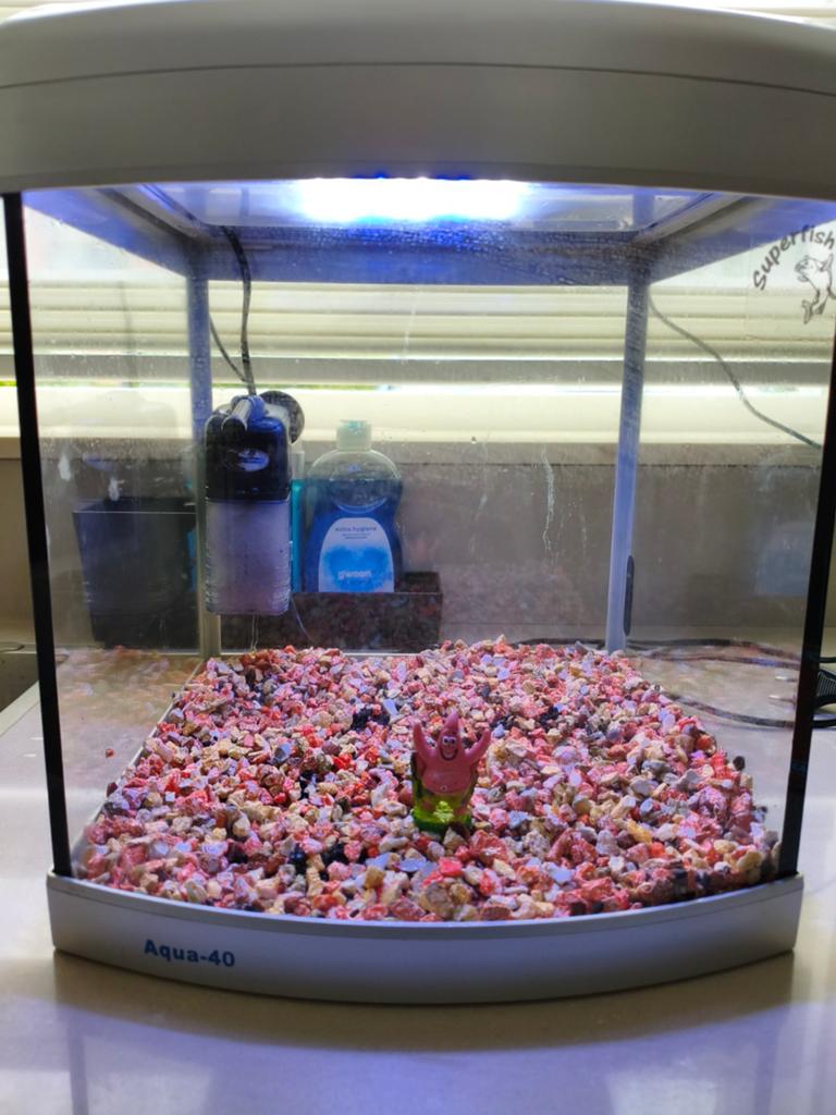 Superfish aqua 40 led!, Ophalen, Zo goed als nieuw, Leeg aquarium, Inclusief deksel