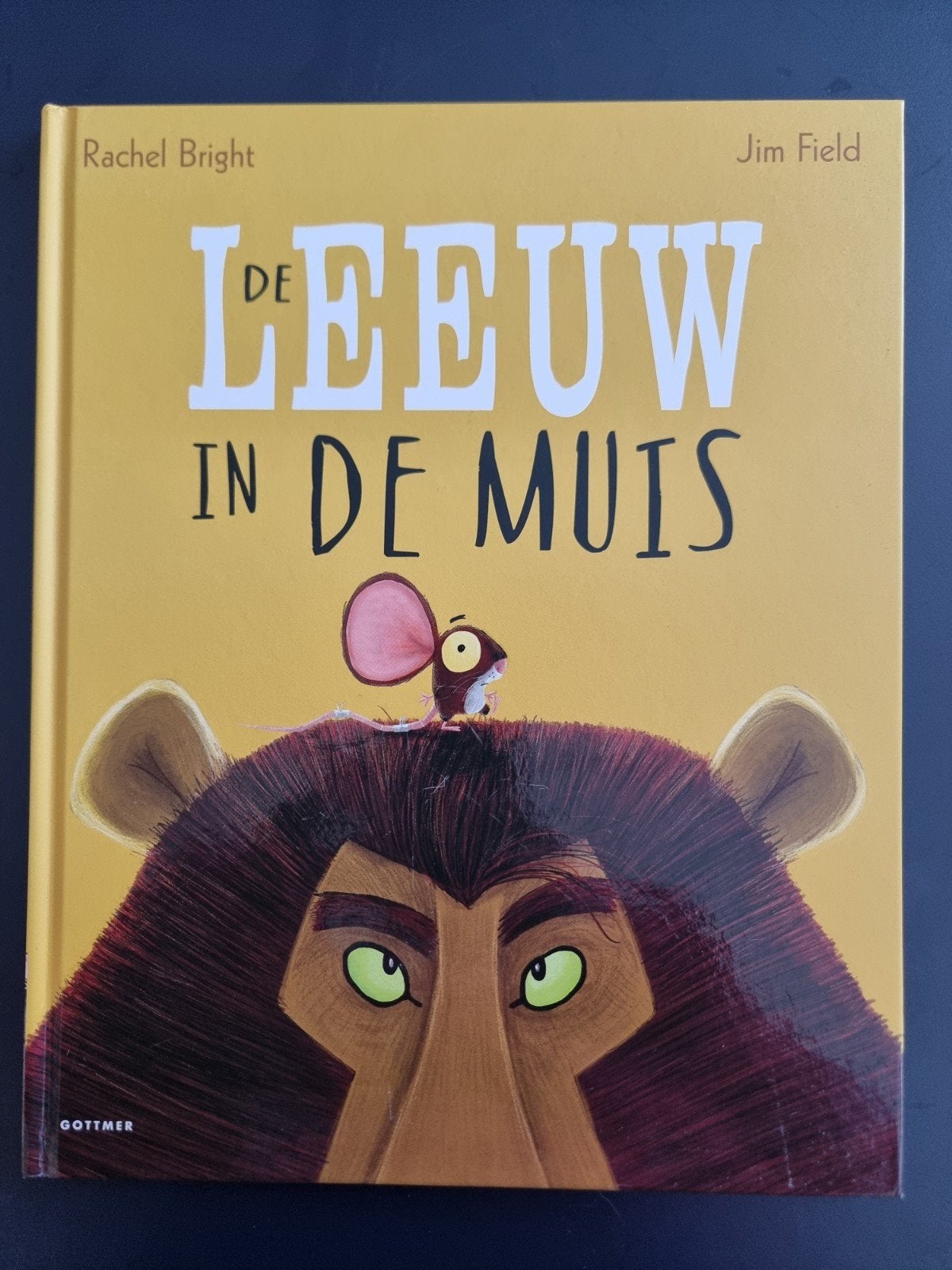 De Leeuw in de Muis - Rachel Bright & Jim Field, Ophalen of Verzenden, Zo goed als nieuw, Rachel Bright & Jim Field, Fictie algemeen
