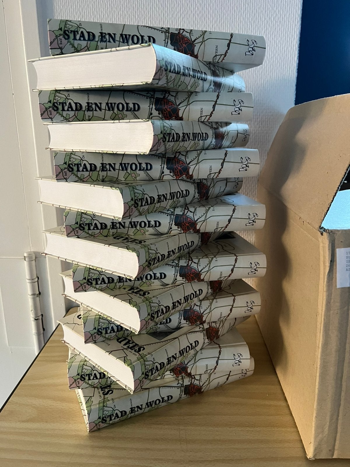 NIEUW! Boek Stad en Wold - Steenwijkerwold Gebonden 288 pag., 20e eeuw of later, Nieuw, Ophalen of Verzenden, Historische Vereniging Steenwijk