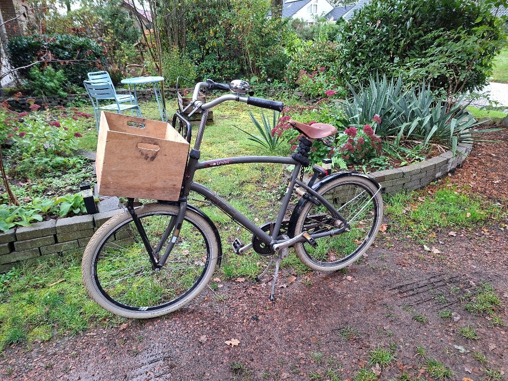 Puch stadsfiets – 3 versnellingen – terugtraprem – voorlader, Terugtraprem, Gebruikt, Versnellingen, Ophalen