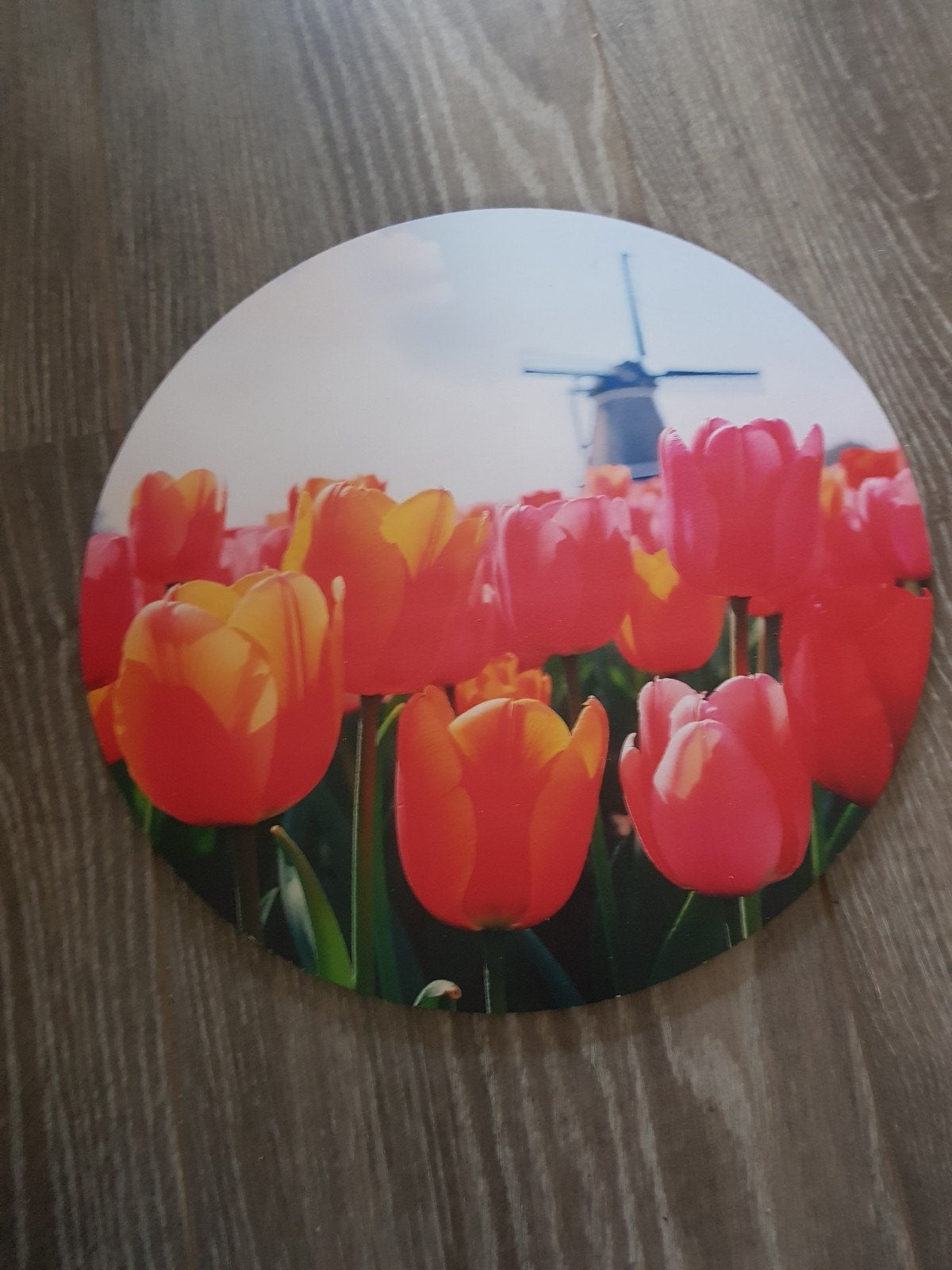 50xRonde wanddecoratie met tulpen en molen, Meerkleurig, Overige materialen, Overige stijlen, Nieuw