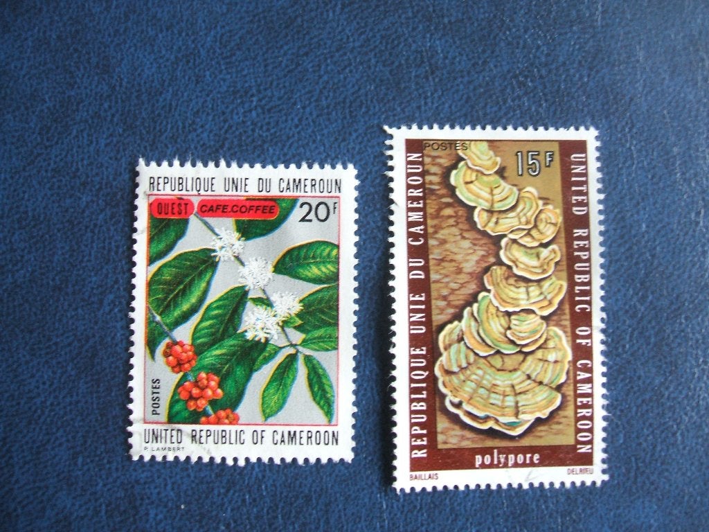 Kameroen, Ophalen of Verzenden, Overige landen, Gestempeld