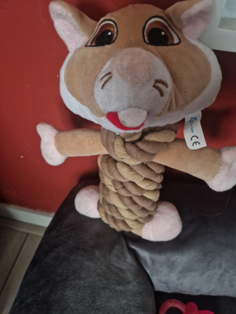 dierendag hamster van AH, Ophalen of Verzenden, Zo goed als nieuw, Intelligentiespeelgoed