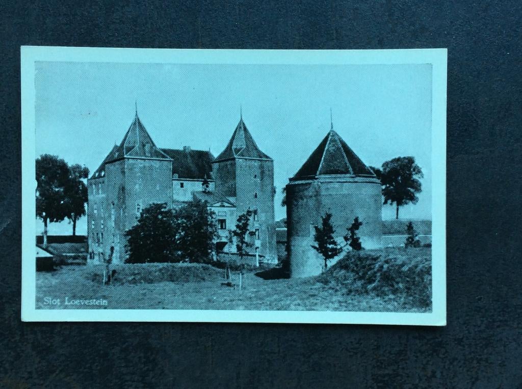 Poederoijen, Slot Loevestein, Ophalen of Verzenden, 1960 tot 1980, Ongelopen, Gelderland