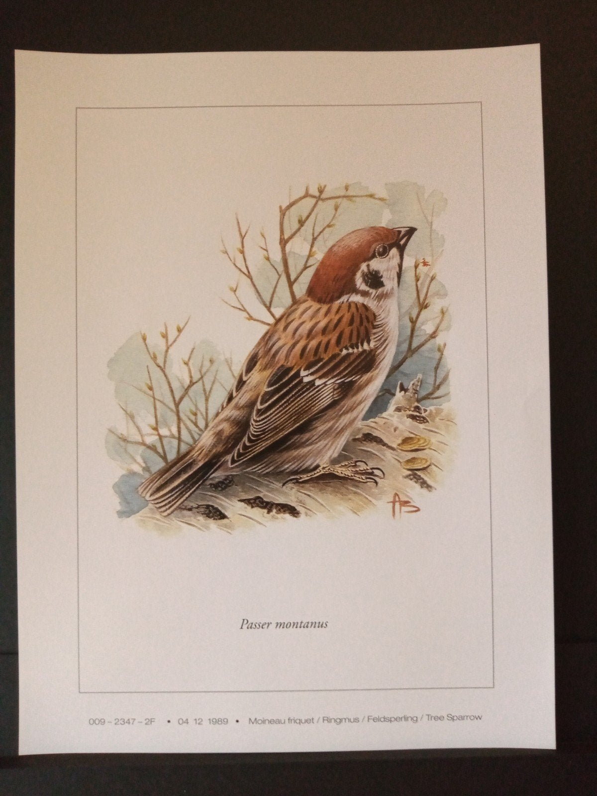 Prent Ringmus getekend André Buzin tekenaar / illustrator, Verzenden, 1980 tot heden, Zo goed als nieuw, Dier