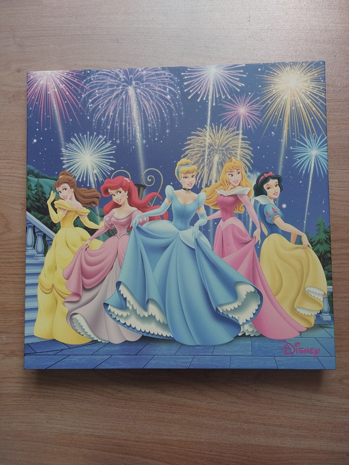 Canvas Disney Prinsessen 40×40cm, Ophalen, Overige figuren, Nieuw, Plaatje of Poster