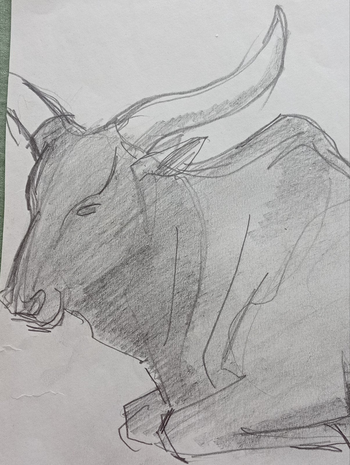 Jan Visser tekening Buffel jaren 40-50 Blijdorp Rotterdam, Antiek en Kunst, Kunst | Tekeningen en Foto's, Ophalen of Verzenden