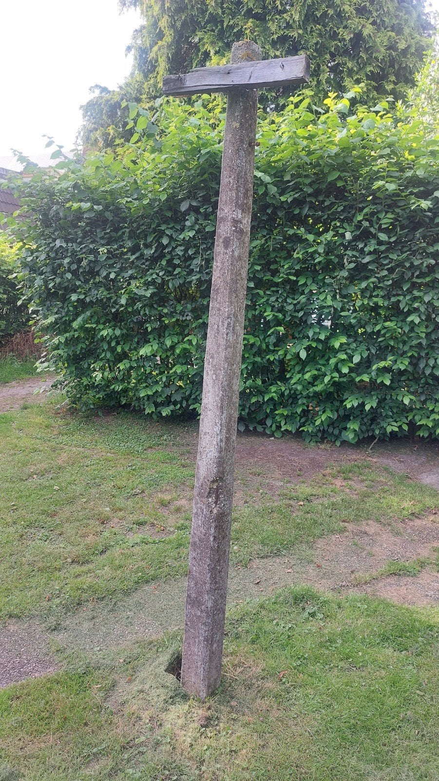 Gratis gewapend beton betonnen paal waslijnpaal balk, Ophalen of Verzenden, 250 cm of meer, Palen