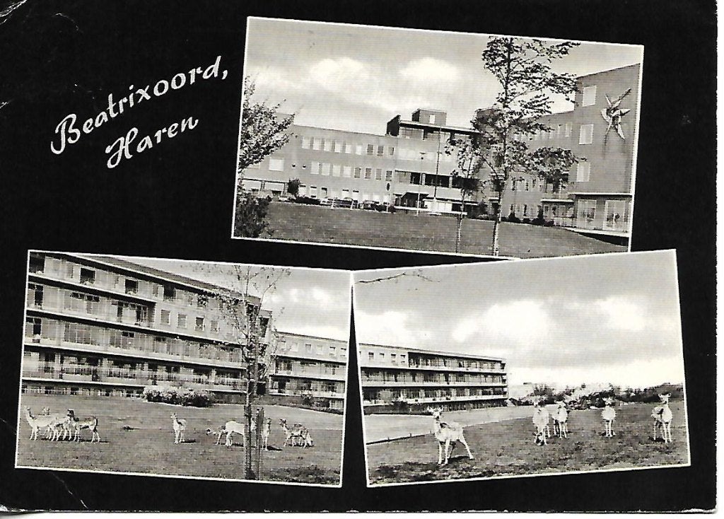 Haren- -3-luik., Verzenden, 1960 tot 1980, Gelopen, Groningen