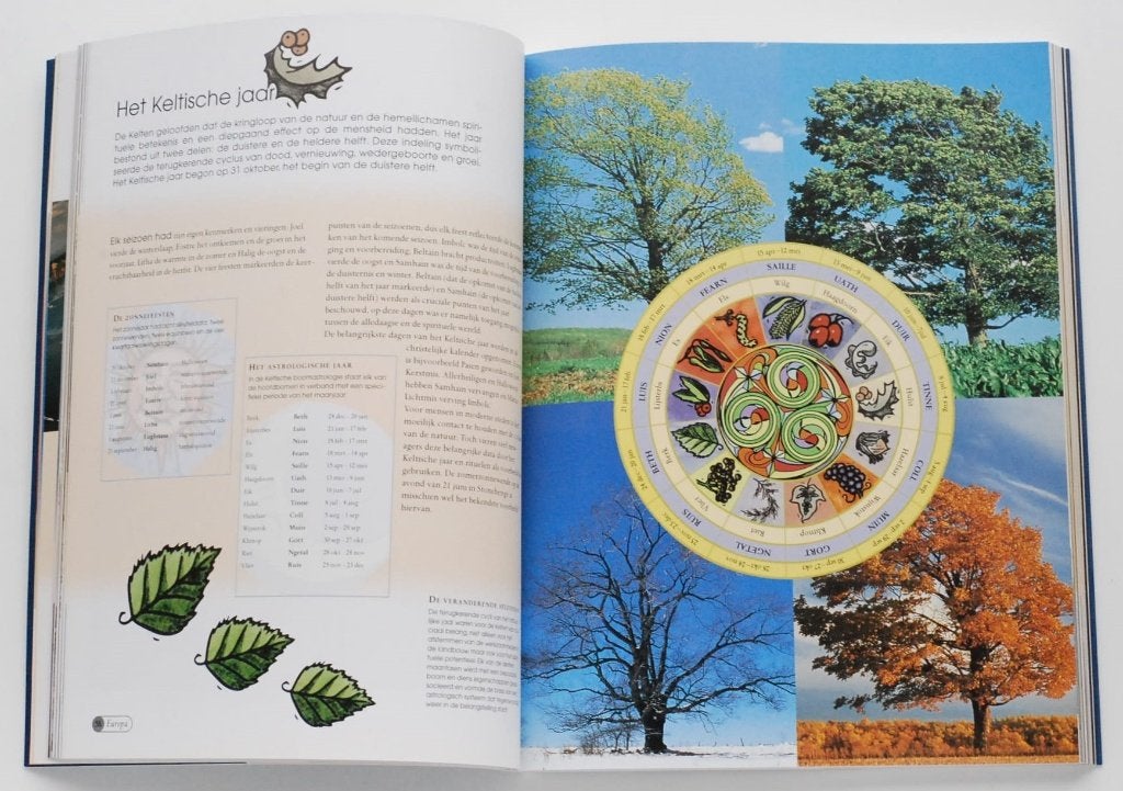De Wereld van New Age: Oorsprong en Ontwikkeling 2002, Achtergrond en Informatie, Spiritualiteit algemeen, Ophalen of Verzenden