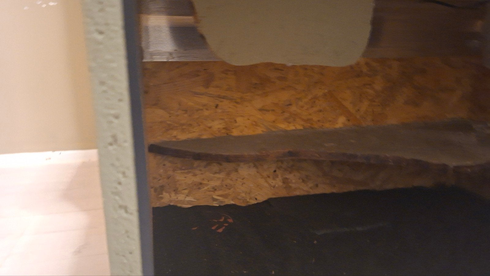 terarium