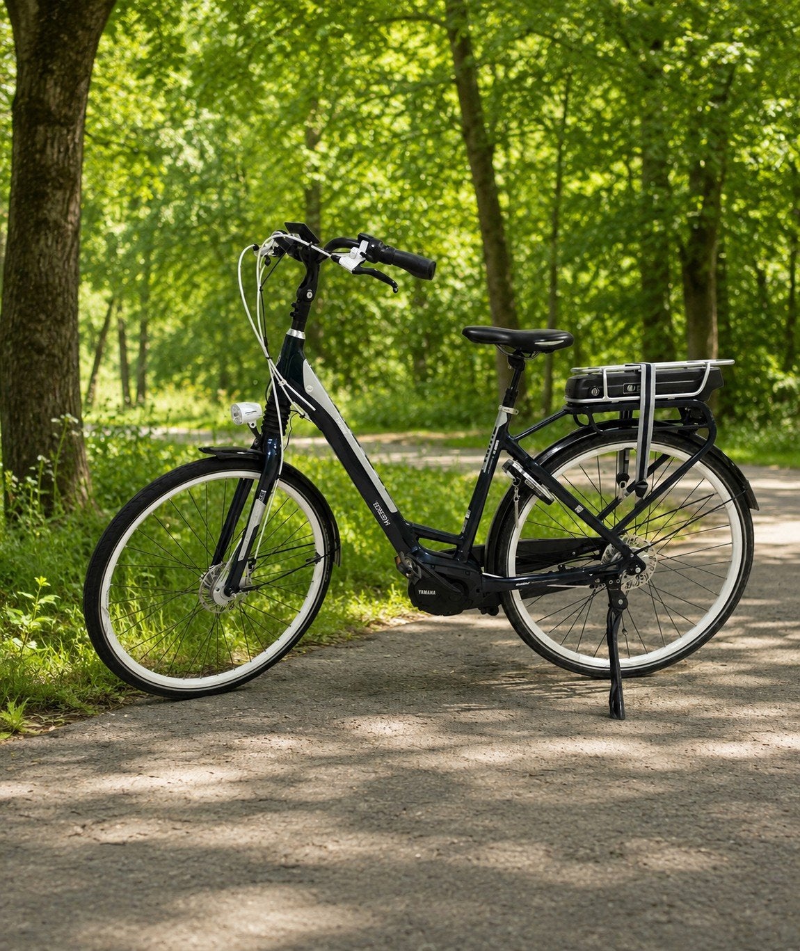 Giant Prime elektrische fiets e-bike maat M 54 cm, Ophalen, 53 tot 56 cm, Versnellingen, Giant