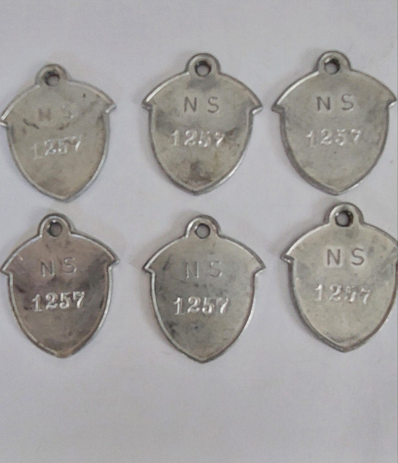 NS  personeelspenning met nr 1257, Ophalen of Verzenden, Vóór koninkrijk, Euro's, Setje