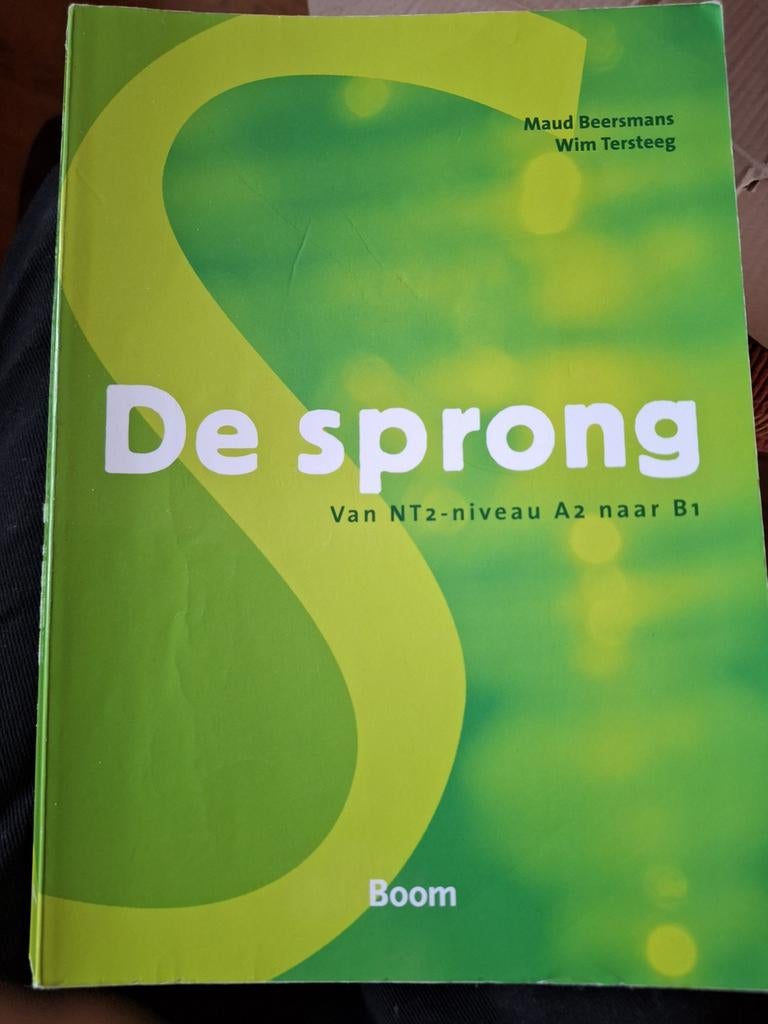 NT2 Boek De Sprong: Van A2 naar B1 -, Boeken, Ophalen of Verzenden, Alpha, Gelezen
