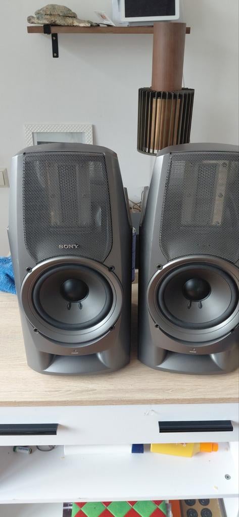 Sony sa-ex200 hybride elektrostaat speaker set, Audio, Tv en Foto, Luidsprekers, Ophalen of Verzenden, Minder dan 60 watt, Front, Rear of Stereo speakers